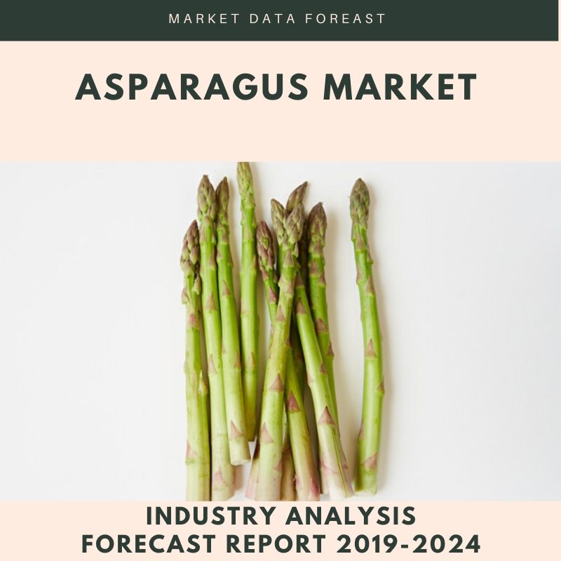 Asparagus Market by Market Data Forecast